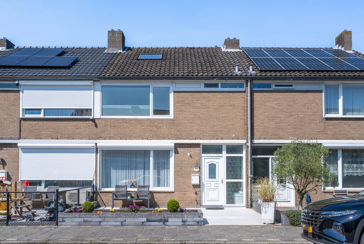 Foto 1 van Gerard ter Borchstraat 64