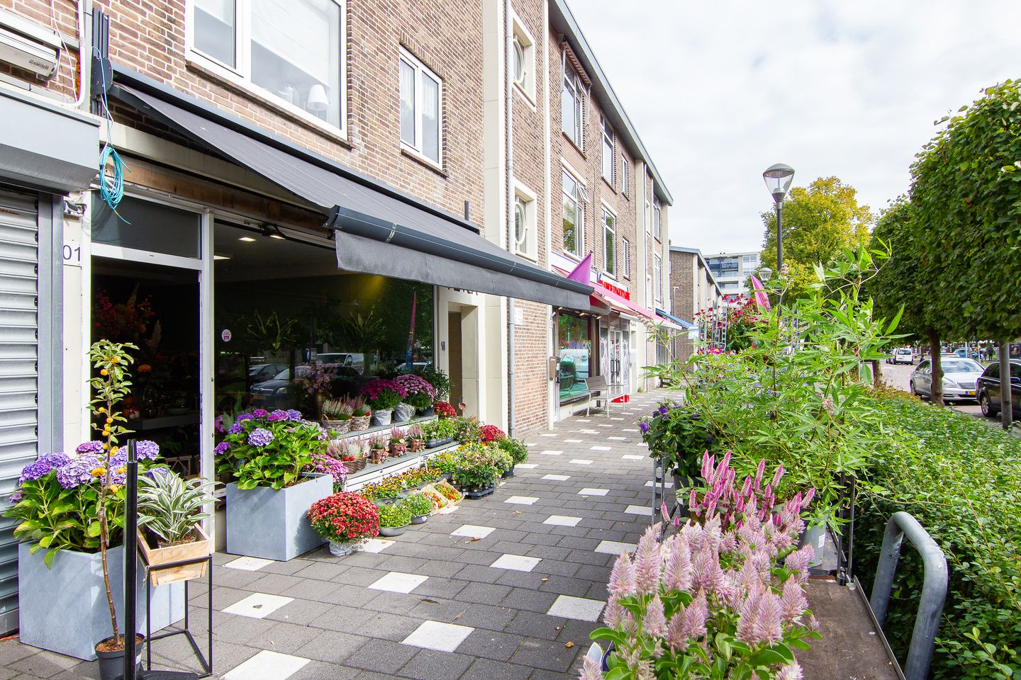 Foto 34 van Van Zeggelenstraat 100