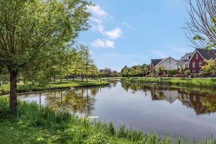 Foto 47 van Lupinestraat 28