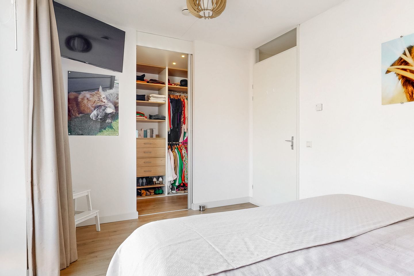 Photo 19 of Onegameer 18