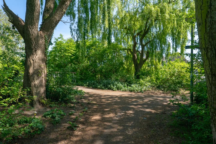 Foto 56 van De Klip 70