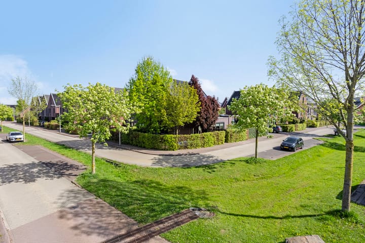 Foto 66 van Centraalspoor 19