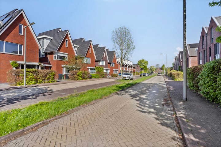 Foto 67 van Centraalspoor 19