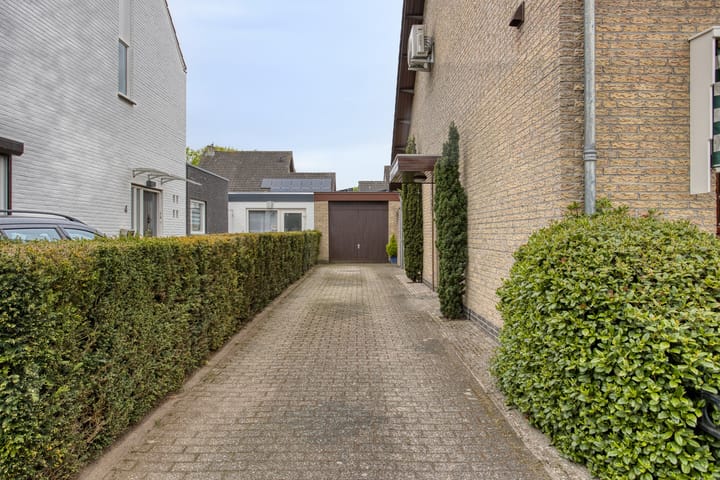 Foto 7 van Schollaan 6