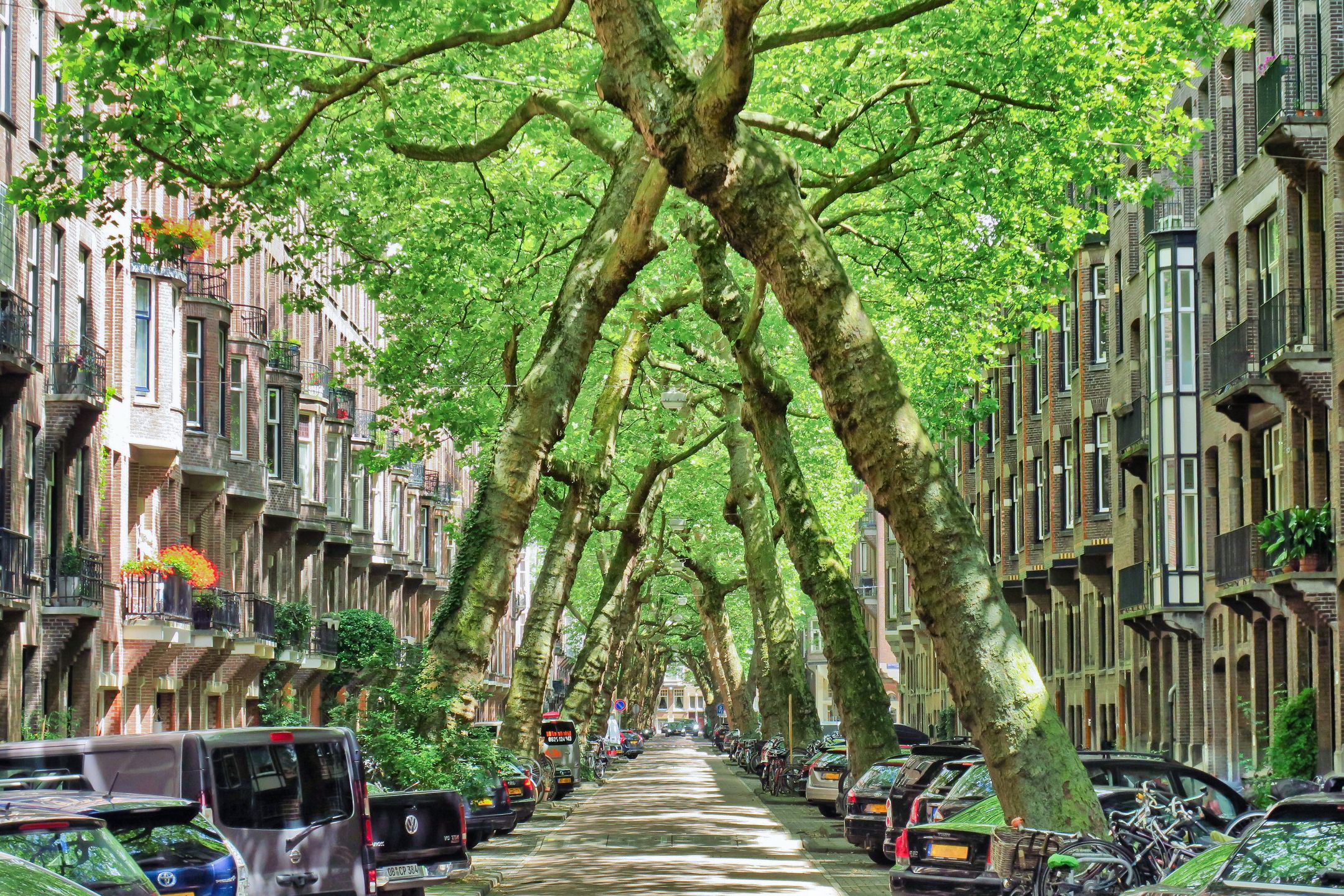 Photo 72 of Lomanstraat 23-2