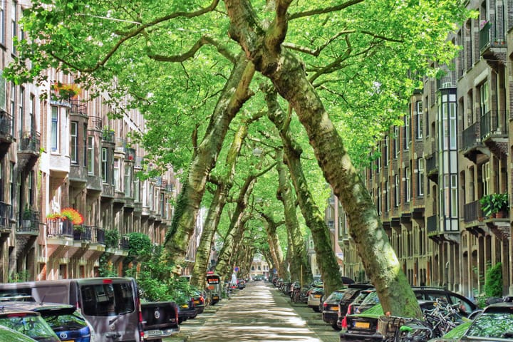 Foto 72 van Lomanstraat 23-2