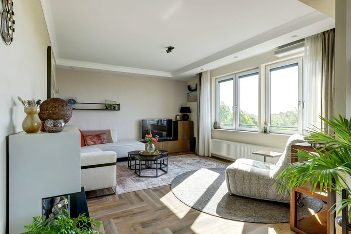 Foto 21 van Drechterwaard 233