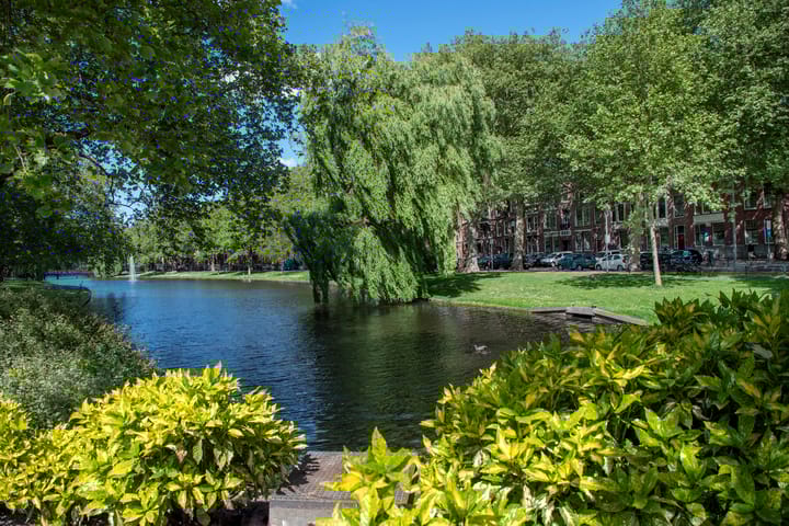 Foto 45 van Heemraadssingel 116