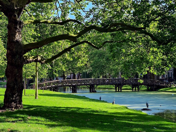 Foto 46 van Heemraadssingel 116