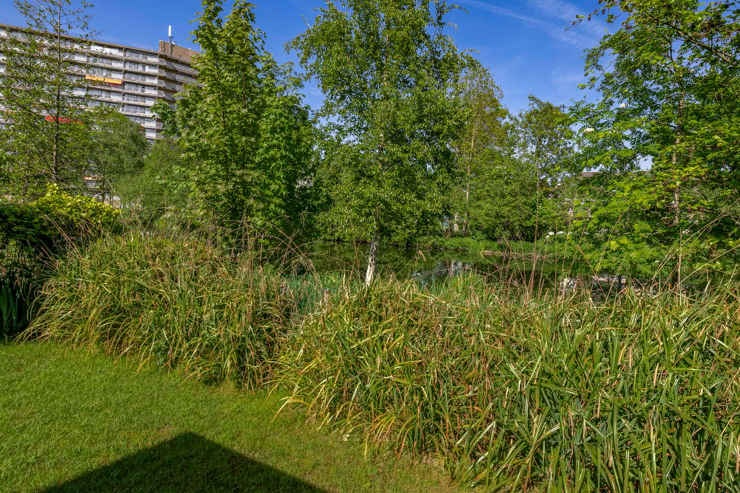 Foto 40 van Silkeborg 12