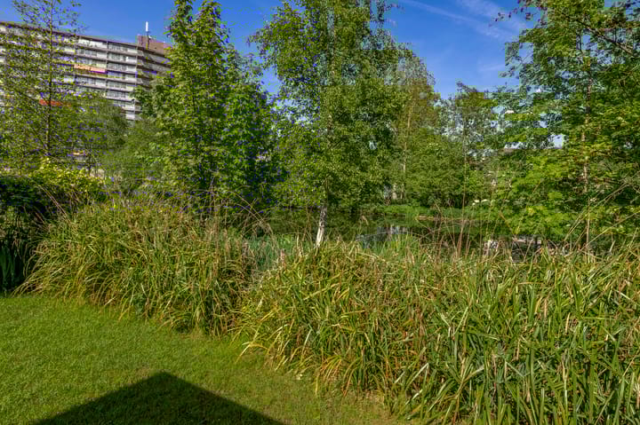 Foto 40 van Silkeborg 12