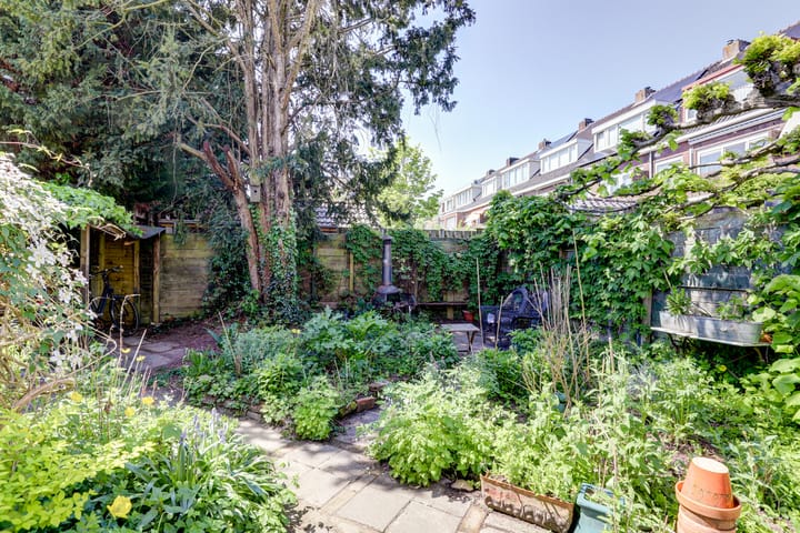 Foto 37 van Brederodestraat 1