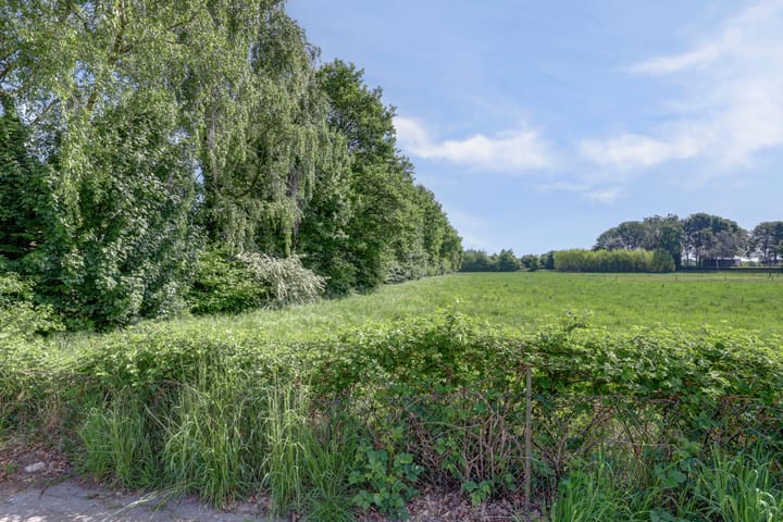 Foto 36 van Beukenlaan 13