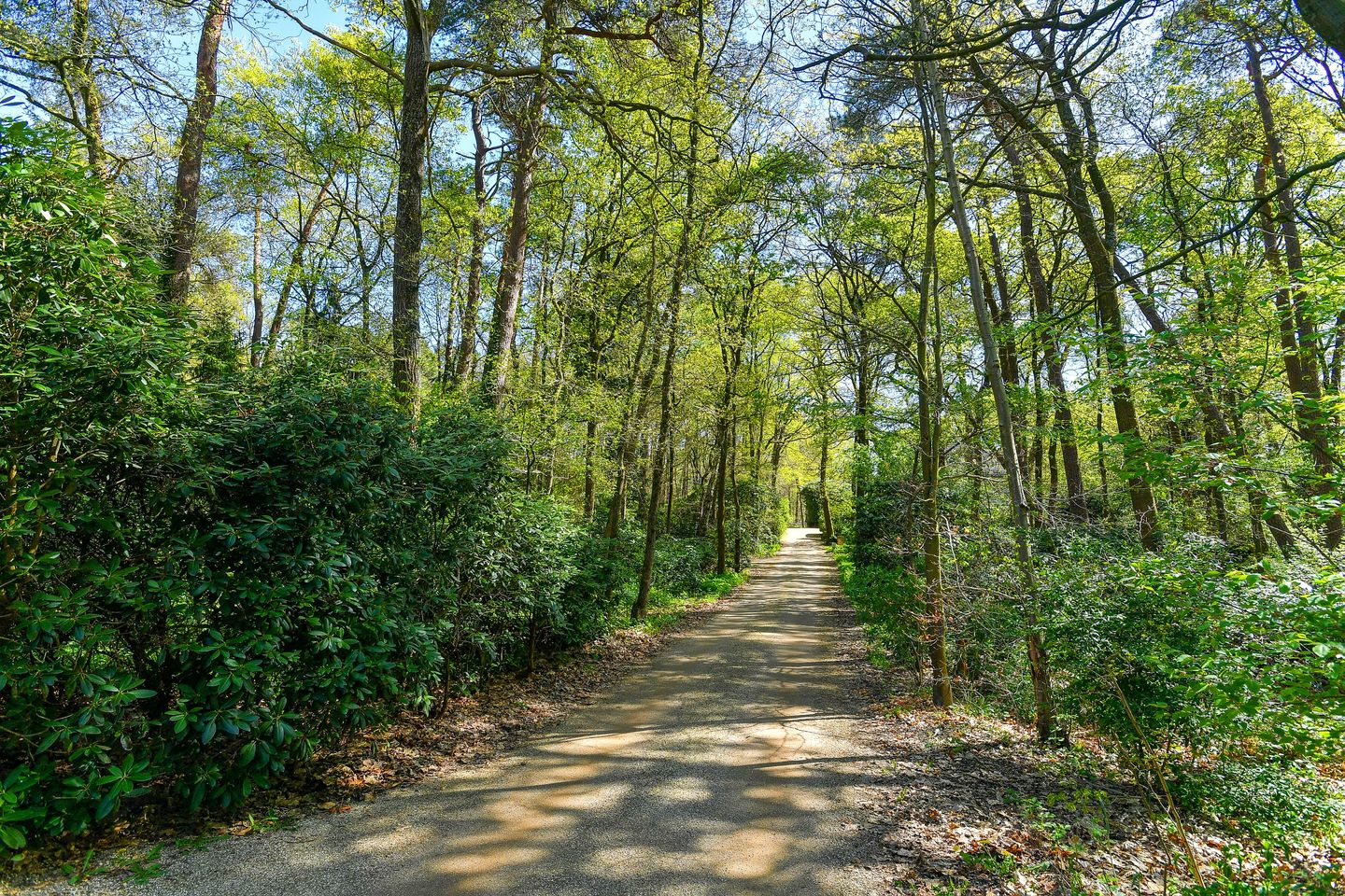 Foto 5 van Kemperbergerweg 419