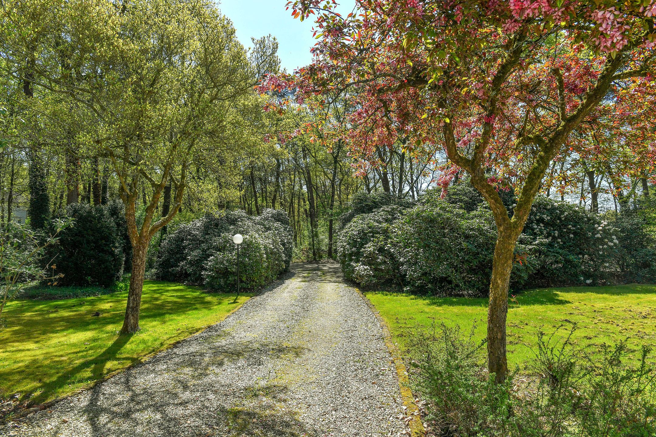 Foto 6 van Kemperbergerweg 419