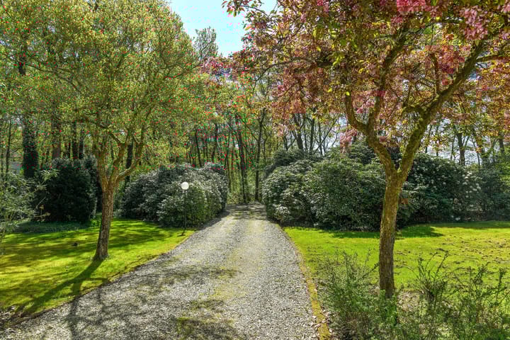 Foto 6 van Kemperbergerweg 419