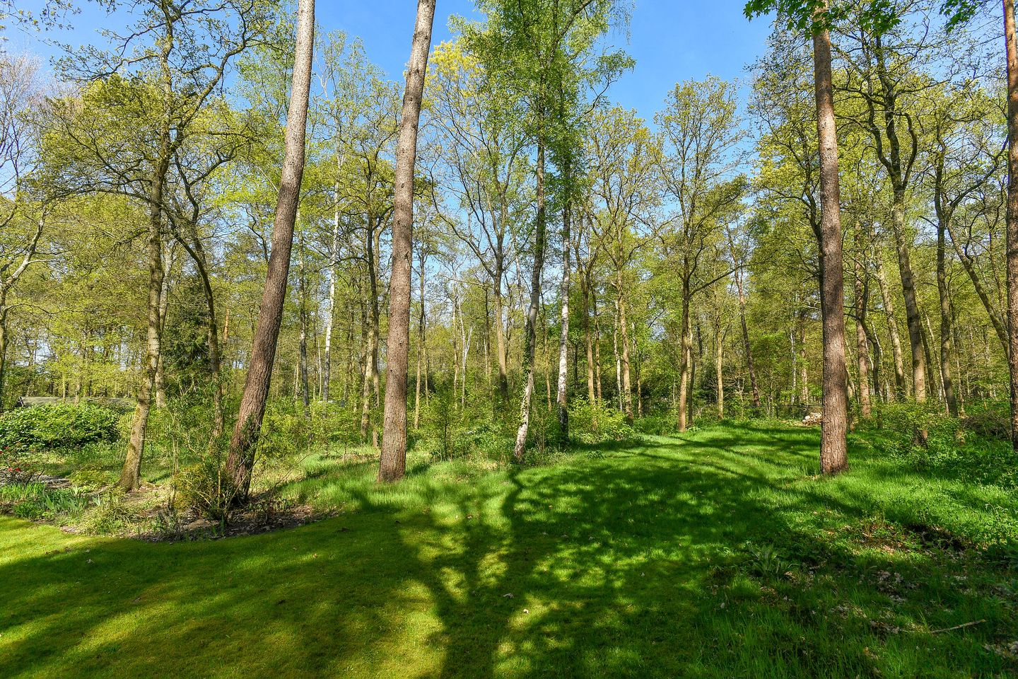 Foto 40 van Kemperbergerweg 419