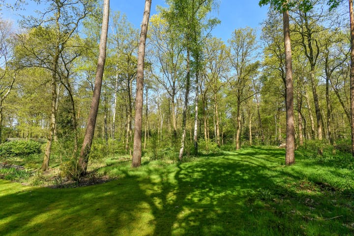 Foto 40 van Kemperbergerweg 419