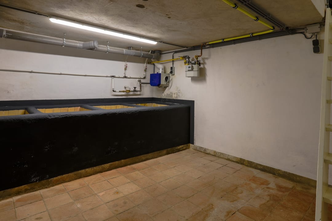 Photo 17 of Wilhelminastraat 12