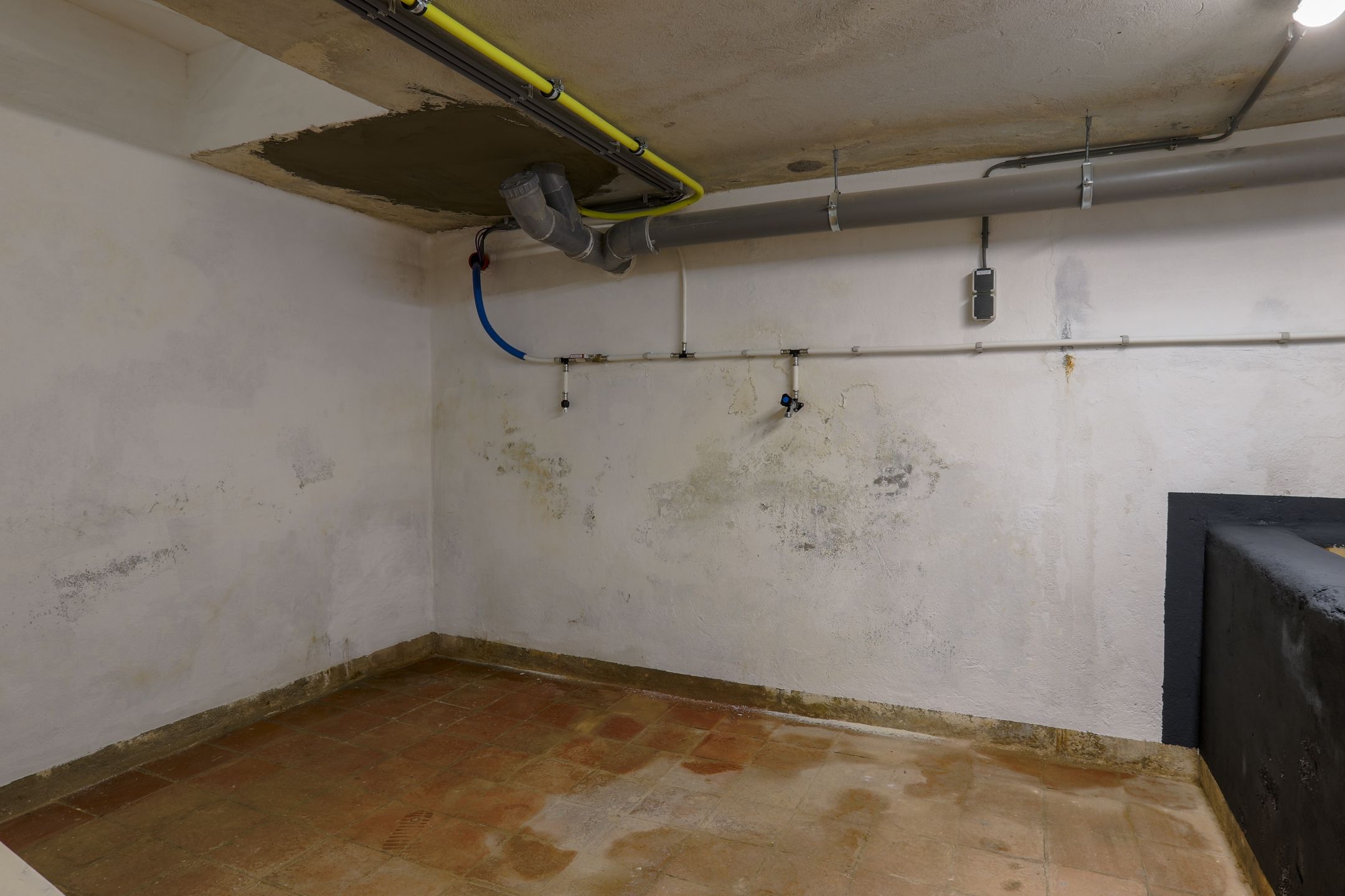 Photo 18 of Wilhelminastraat 12