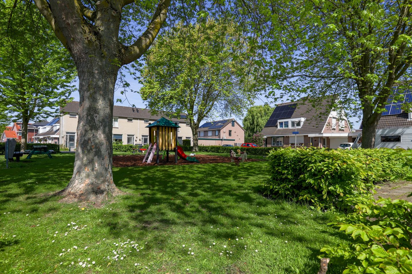 Photo 50 of Wilhelminastraat 12