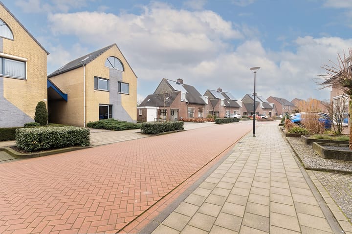 Photo 6 of Morel 163