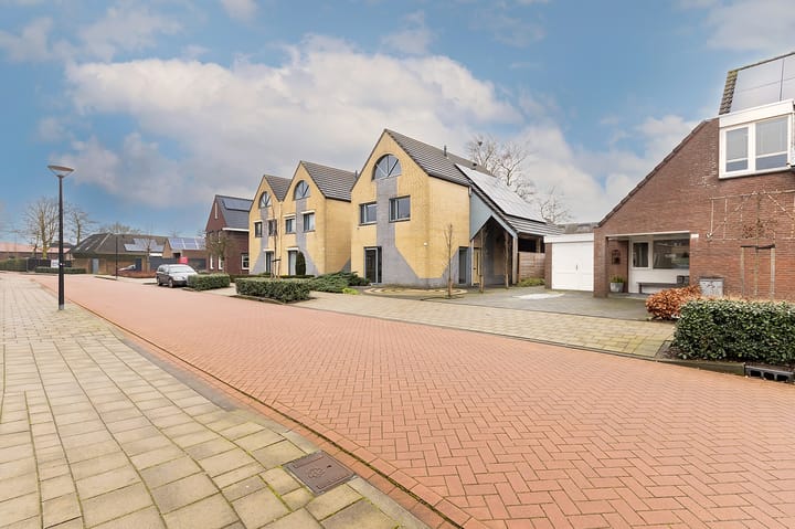 Photo 7 of Morel 163