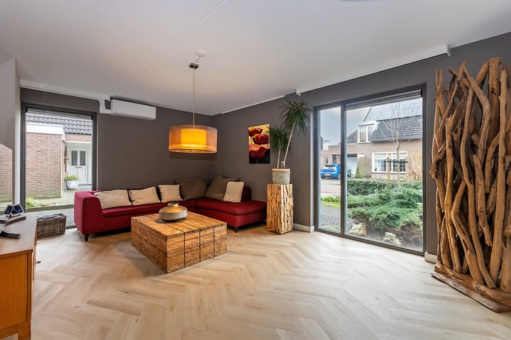 Photo 9 of Morel 163