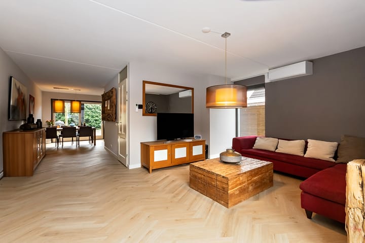 Photo 10 of Morel 163