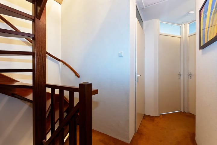 Photo 19 of Morel 163