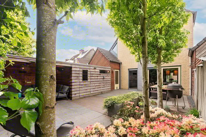 Photo 33 of Morel 163