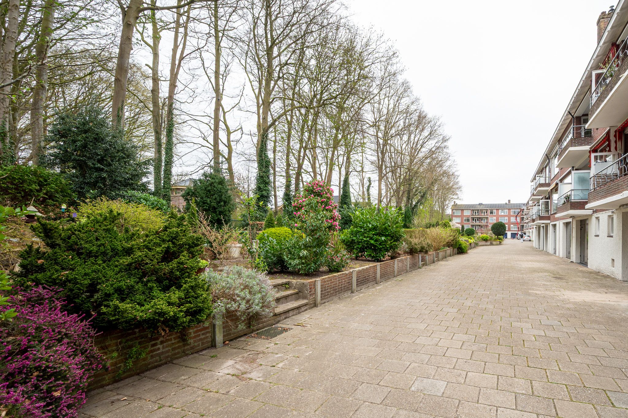 Photo 42 of Van Ketwich Verschuurlaan 12