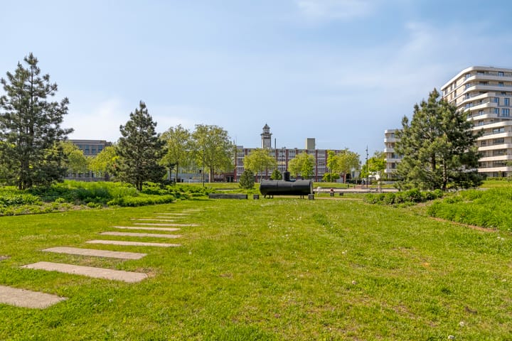 Foto 29 van de Elzas 303