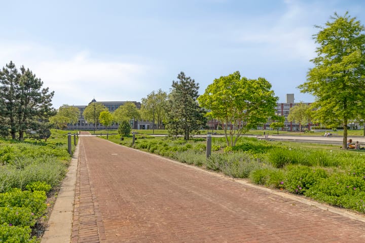 Foto 30 van de Elzas 303