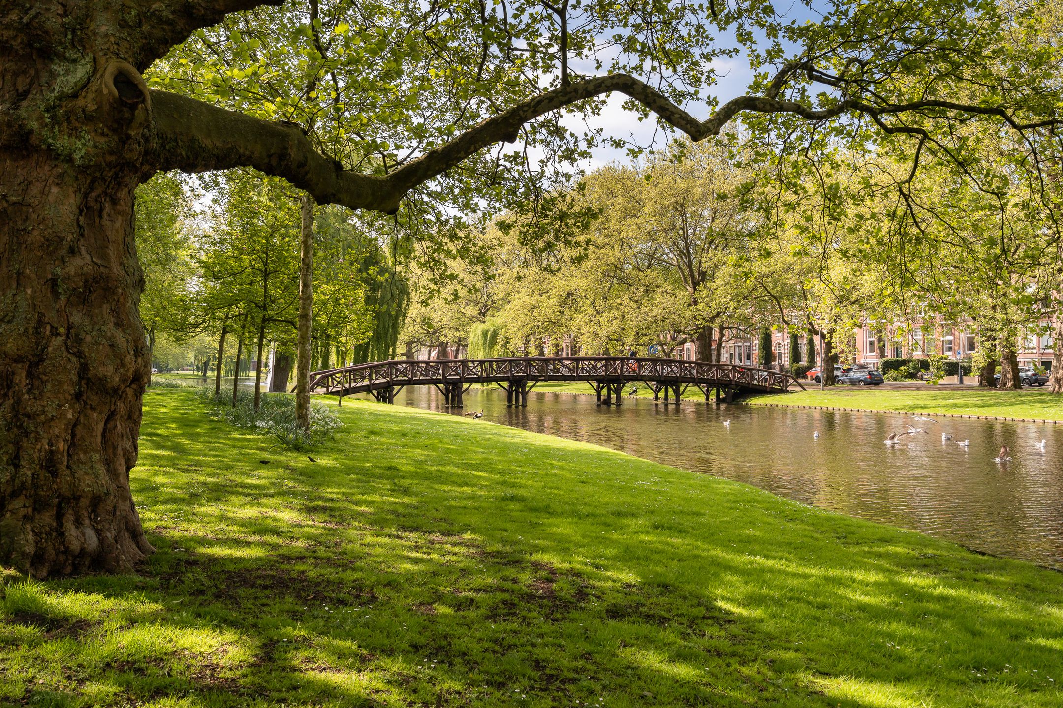 Foto 45 van Beatrijsstraat 34-A