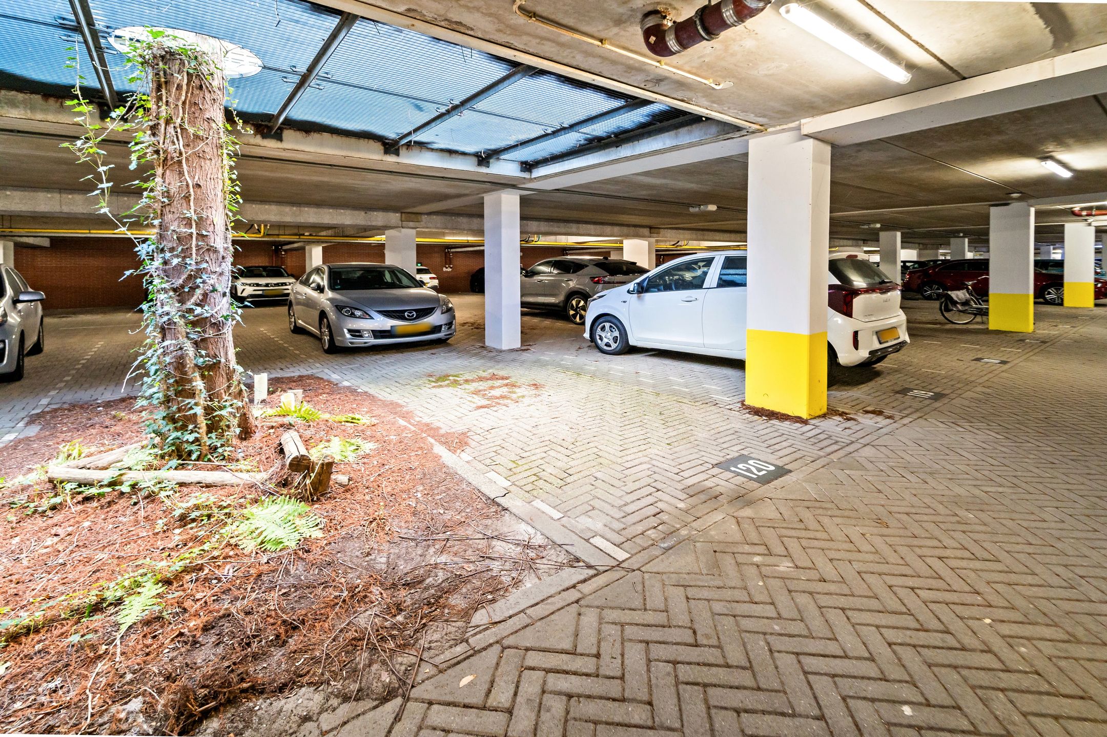 Foto 48 van Hoogeveenlaan 135