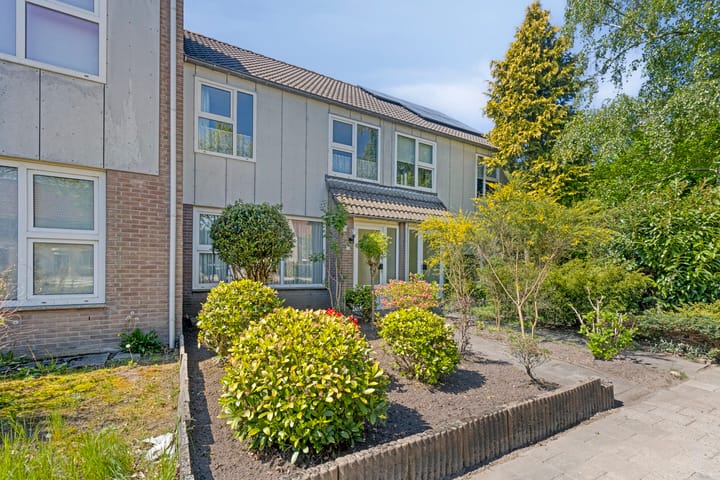 Foto 7 van Jan Palachweg 15