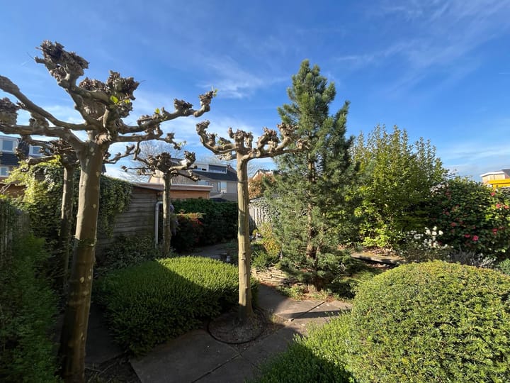 Foto 32 van Hoeckenburg 10