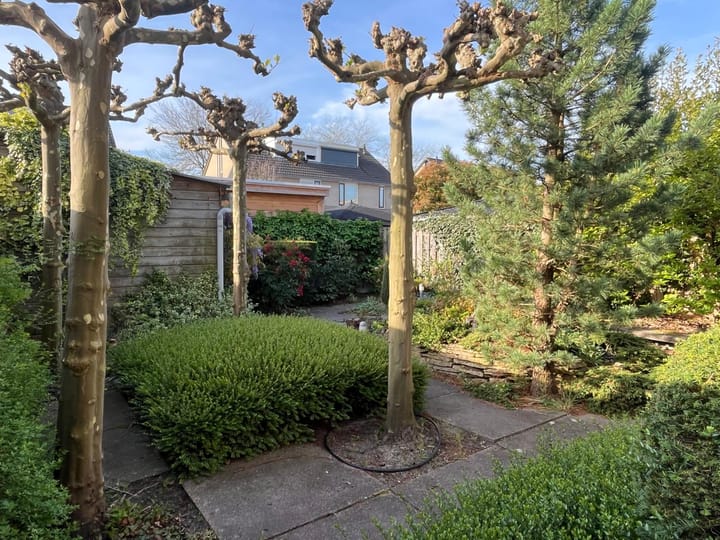 Foto 33 van Hoeckenburg 10