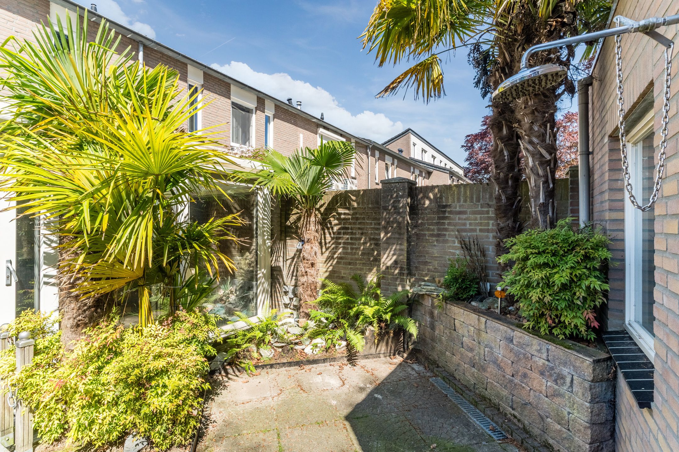 Foto 36 van Plataanbeek 34