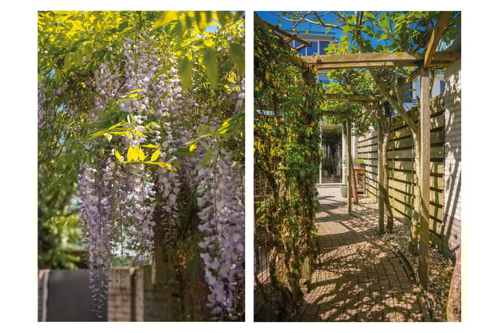 Foto 31 van Postmastraat 11