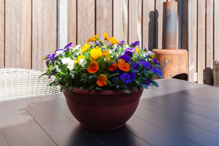 Foto 41 van Fop Smitstraat 43