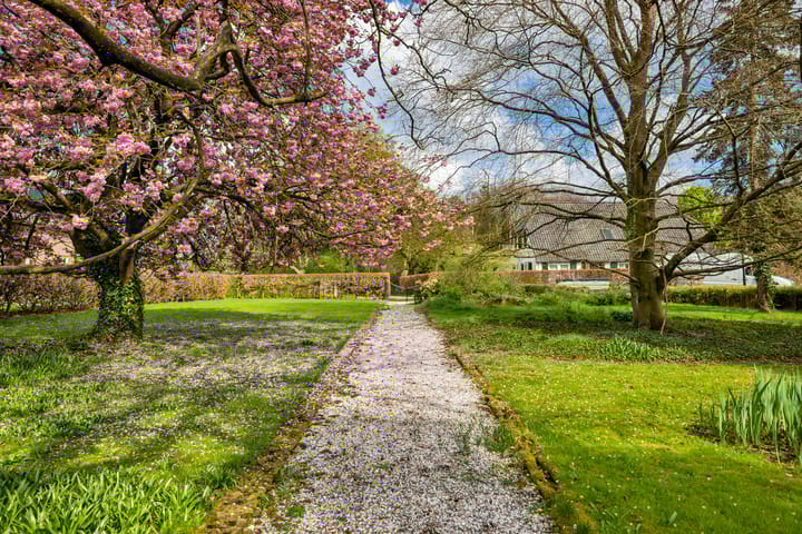 Foto 48 van Hoog Soeren 46