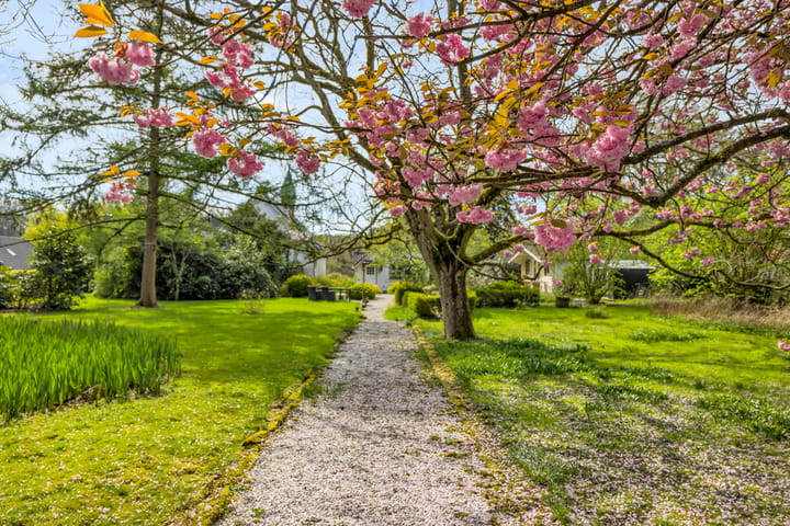 Foto 49 van Hoog Soeren 46