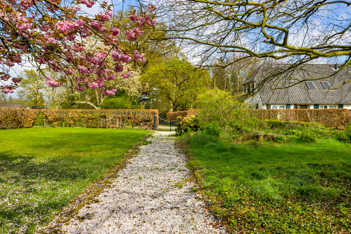 Foto 50 van Hoog Soeren 46