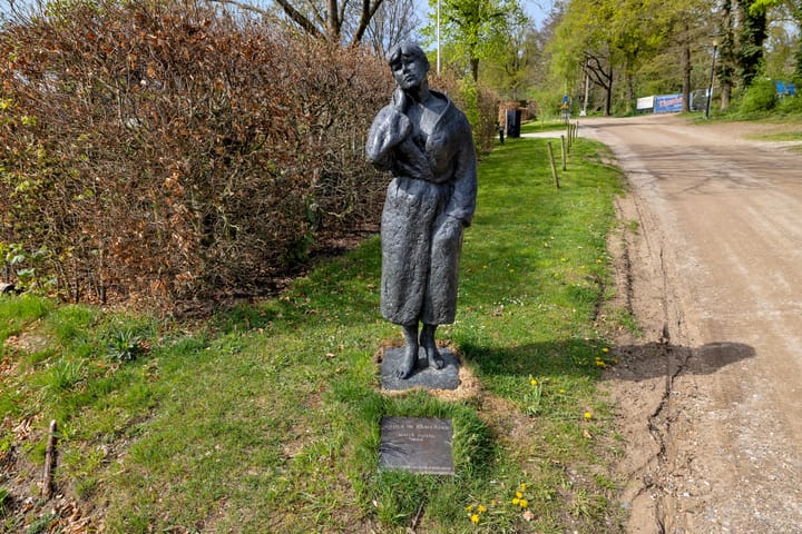 Foto 54 van Hoog Soeren 46