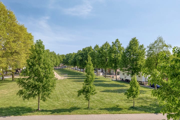 Foto 38 van Koningsschild 40