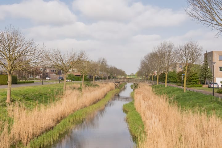 Foto 42 van Botter 26