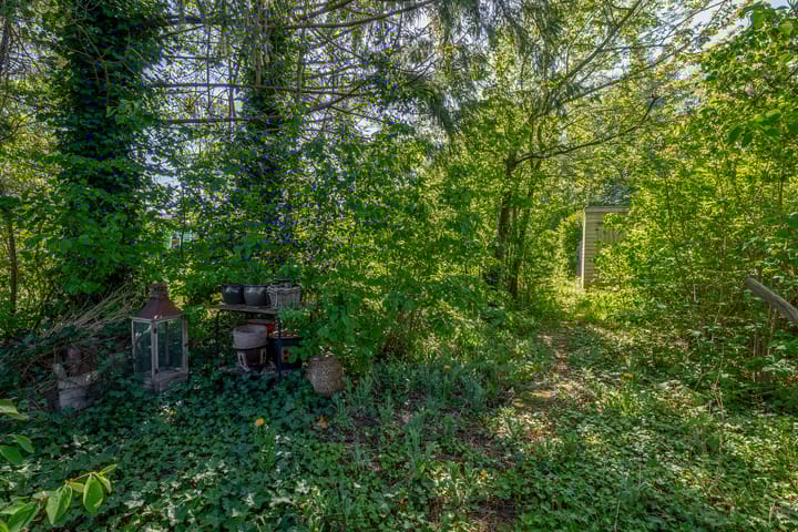 Foto 35 van Blijhamsterweg 86