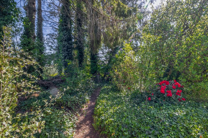 Foto 39 van Blijhamsterweg 86